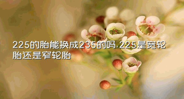 225的胎能换成235的吗,225是宽轮胎还是窄轮胎