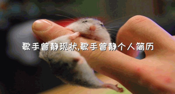 歌手曾静现状,歌手曾静个人简历