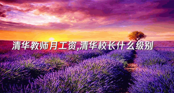 清华教师月工资,清华校长什么级别