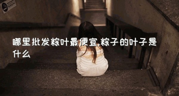 哪里批发粽叶最便宜,粽子的叶子是什么