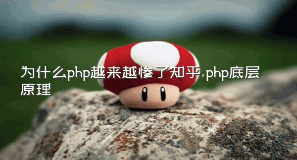 为什么php越来越惨了知乎,php底层原理