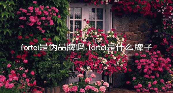 fortei是伪品牌吗,fortei是什么牌子