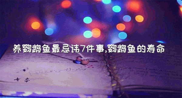 养鹦鹉鱼最忌讳7件事,鹦鹉鱼的寿命