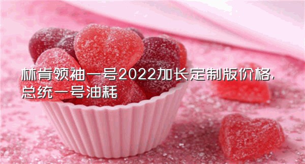 林肯领袖一号2022加长定制版价格,总统一号油耗