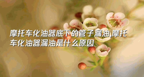 摩托车化油器底下的管子漏油,摩托车化油器漏油是什么原因