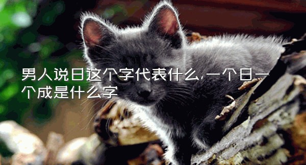 男人说日这个字代表什么,一个日一个成是什么字