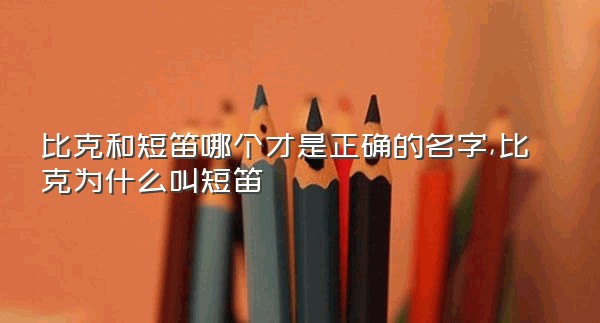 比克和短笛哪个才是正确的名字,比克为什么叫短笛