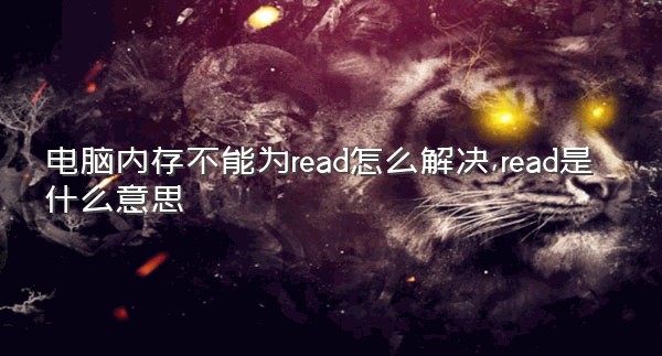 电脑内存不能为read怎么解决,read是什么意思