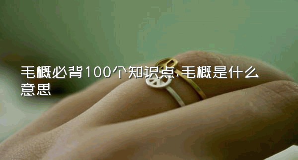 毛概必背100个知识点,毛概是什么意思