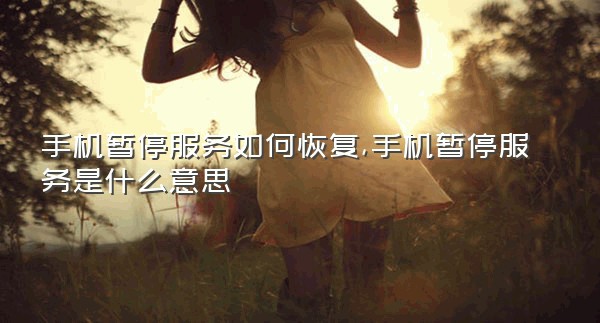 手机暂停服务如何恢复,手机暂停服务是什么意思