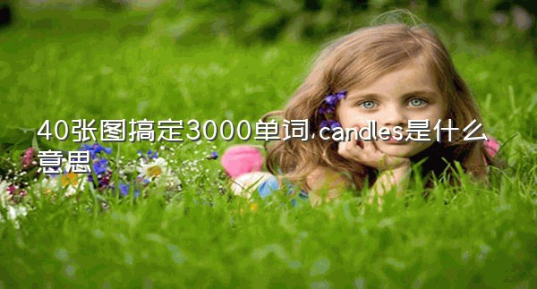 40张图搞定3000单词,candles是什么意思