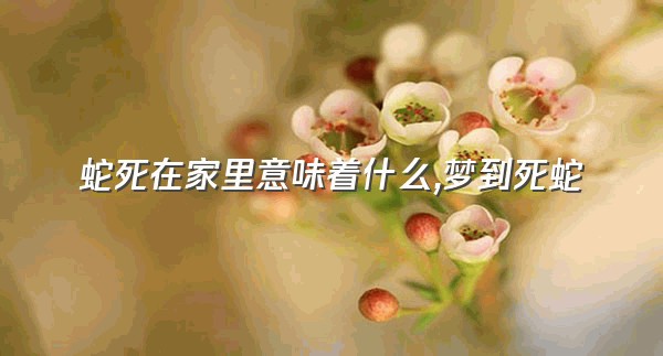 蛇死在家里意味着什么,梦到死蛇