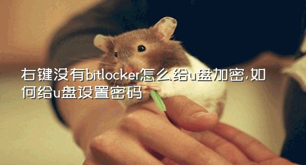 右键没有bitlocker怎么给u盘加密,如何给u盘设置密码