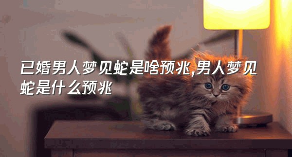 已婚男人梦见蛇是啥预兆,男人梦见蛇是什么预兆