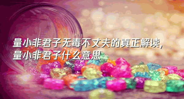 量小非君子无毒不丈夫的真正解读,量小非君子什么意思