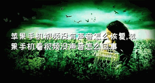 苹果手机视频没有声音怎么恢复,苹果手机看视频没声音怎么回事