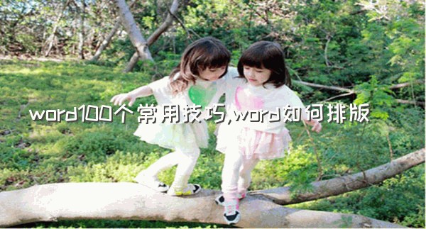 word100个常用技巧,word如何排版