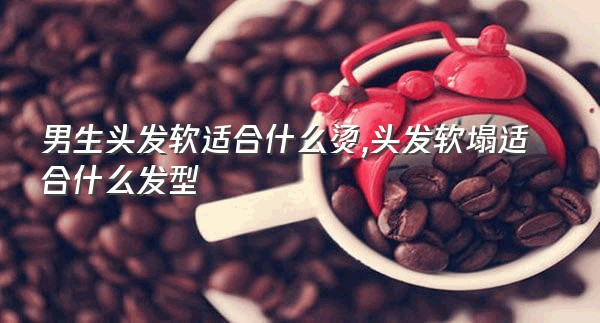 男生头发软适合什么烫,头发软塌适合什么发型