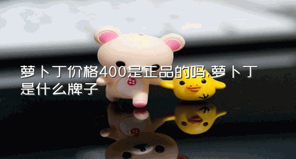 萝卜丁价格400是正品的吗,萝卜丁是什么牌子