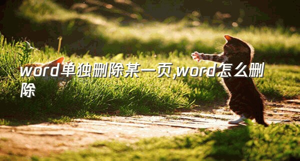 word单独删除某一页,word怎么删除