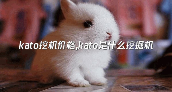 kato挖机价格,kato是什么挖掘机