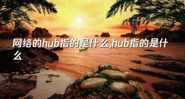 网络的hub指的是什么,hub指的是什么