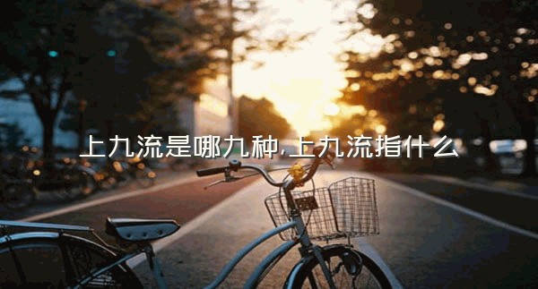 上九流是哪九种,上九流指什么