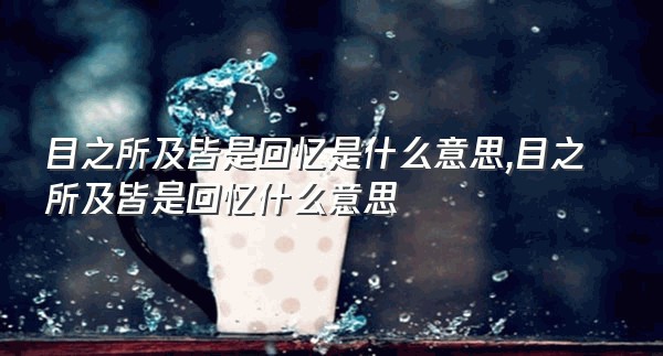 目之所及皆是回忆是什么意思,目之所及皆是回忆什么意思