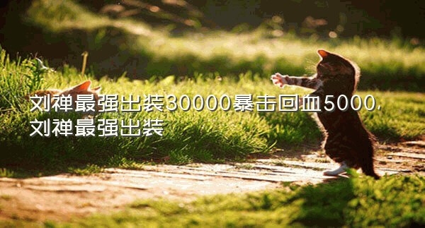 刘禅最强出装30000暴击回血5000,刘禅最强出装