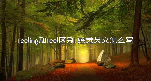 feeling和feel区别,感觉英文怎么写