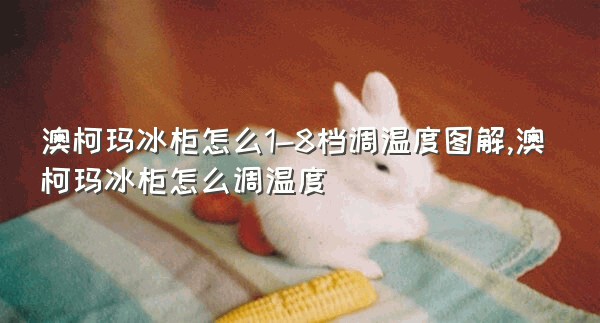 澳柯玛冰柜怎么1-8档调温度图解,澳柯玛冰柜怎么调温度