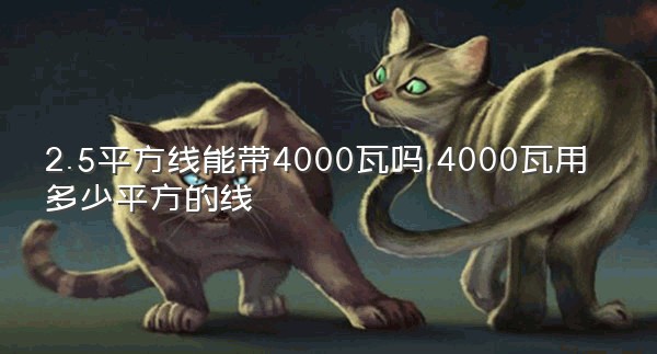 2.5平方线能带4000瓦吗,4000瓦用多少平方的线