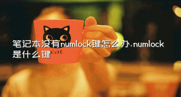 笔记本没有numlock键怎么办,numlock是什么键