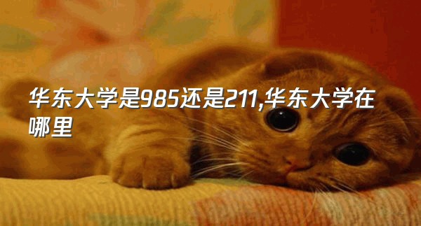 华东大学是985还是211,华东大学在哪里