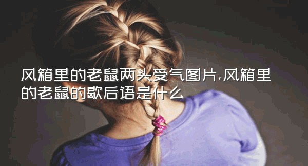 风箱里的老鼠两头受气图片,风箱里的老鼠的歇后语是什么