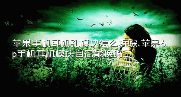 苹果手机耳机孔模块怎么拆除,苹果6p手机耳机模块自己能换吗