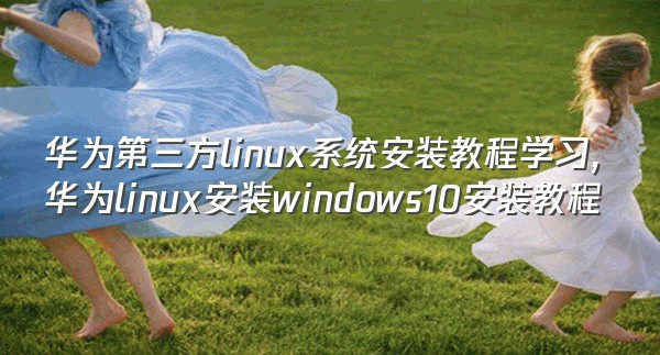 华为第三方linux系统安装教程学习,华为linux安装windows10安装教程