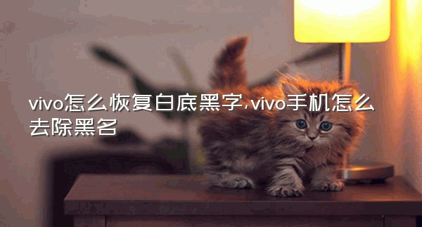 vivo怎么恢复白底黑字,vivo手机怎么去除黑名