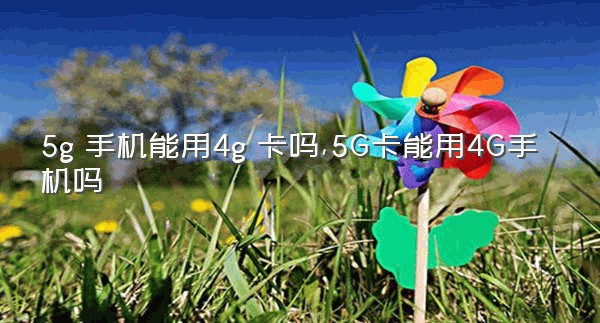 5g 手机能用4g 卡吗,5G卡能用4G手机吗