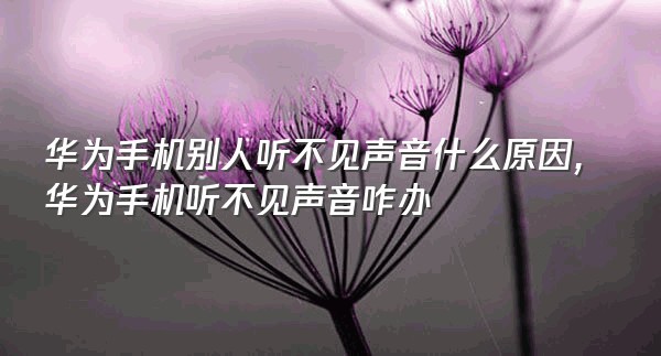 华为手机别人听不见声音什么原因,华为手机听不见声音咋办