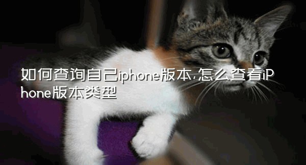 如何查询自己iphone版本,怎么查看iPhone版本类型