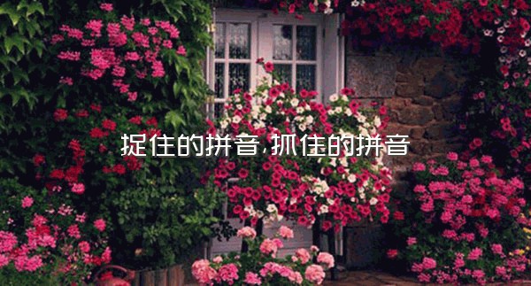 捉住的拼音,抓住的拼音