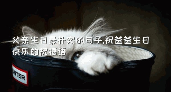 父亲生日最朴实的句子,祝爸爸生日快乐的祝福语