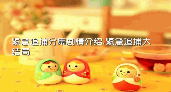 紧急追捕分集剧情介绍,紧急追捕大结局
