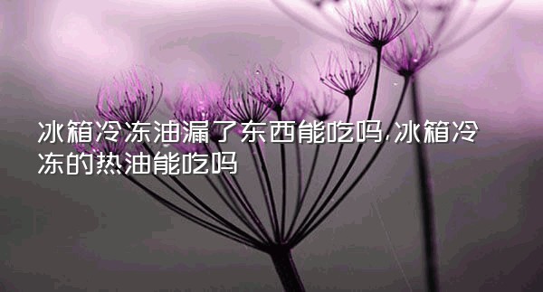 冰箱冷冻油漏了东西能吃吗,冰箱冷冻的热油能吃吗