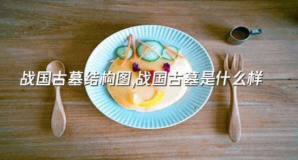 战国古墓结构图,战国古墓是什么样