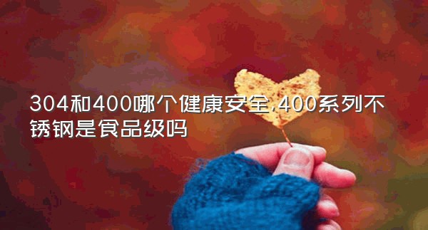 304和400哪个健康安全,400系列不锈钢是食品级吗