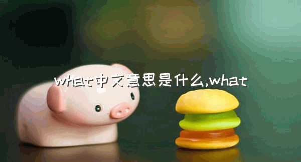 what中文意思是什么,what