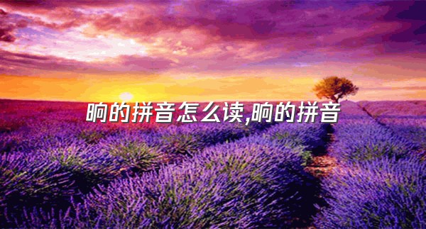 晌的拼音怎么读,晌的拼音