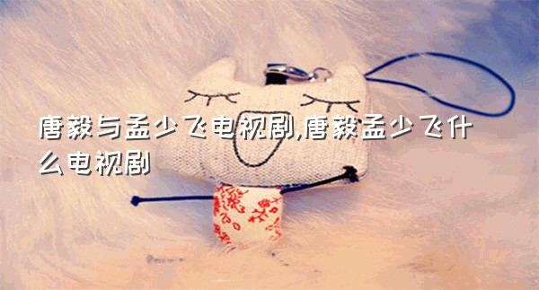 唐毅与孟少飞电视剧,唐毅孟少飞什么电视剧